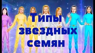 Типы звездных семян