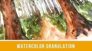 Watercolor Granulation and Forest Painting | Daniel Smith Granulating Watercolor