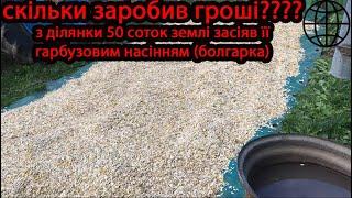 прибуток з моєї ділянки розміром  50% засадяних гарбузовим насінням  (Болгарка)