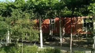 Welcome to Fergana!