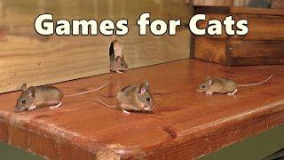 Cat Games : Mouse Watch TV ~ Mice for Cats to Catch 