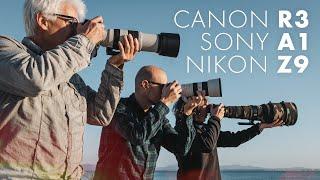 Canon R3 vs Nikon Z9 vs Sony A1, ¿hay una ganadora?