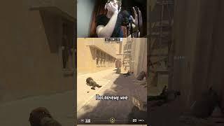 twitch.tv/trik173 | Tгк trik1734 | #shorts #рофл #стрим #стример #мем #ксго #кс #Kc2 #csgo #cs