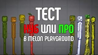 ТЕСТ! ТЫ НУБ ИЛИ ПРО в Melon Playground