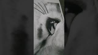 enthusiast artist#8j#sketchartist#artdrawing #drawingskill#1million #pencilsketch #hyperrealisticart