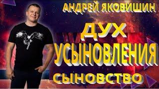 Андрей Яковишин. Дух усыновления. Животворящее усыновление. Действие животворящего Духа. Причастие.