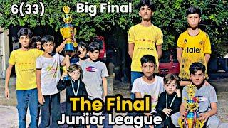 The Final | Junior league | big Match | tape ball cricket | cricket lovers | cricket vlog