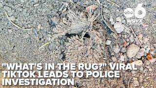 "What's in the rug?" Viral TikToks lead to police investigation of rug buried in Columbus yard