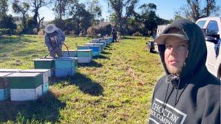 How and Why This Commercial Beekeeper Feeds His Bees