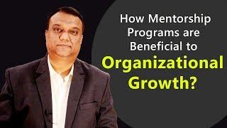 Benefits of a Mentorship Program | How Mentorship programs benefit an organization