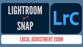 How to Quickly Zoom when Using Lightroom Masks