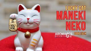 Lucky Cat Maneki Neko