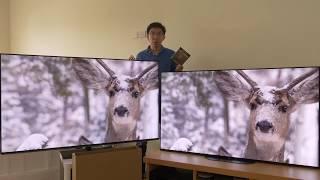 Panasonic GZ950 vs Sony AG9 (A9G) OLED TV Comparison