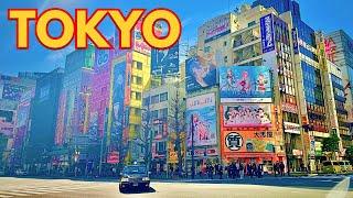 TOKYO All Day Shopping in Akihabara, Japan, top anime stores, capsule toys and more