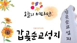 [오늘의 비타민C] 가톨릭 성지순례 - 인천교구 갑곶순교성지 | 행복한 아침 되세요!