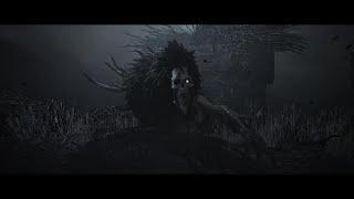 Lords of the Fallen. The Hollow Crow.