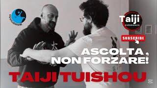 Taiji tuishou - ascolta, non forzare!