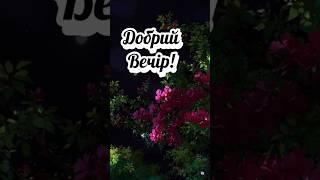 #гарноговечора #shorts