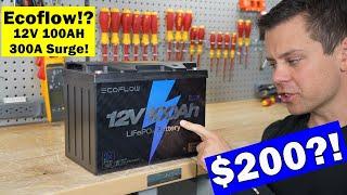 $200 Ecoflow 12V Battery?! It's shiny!