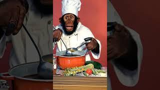 Adorable Monkey Chef Makes Delicious Soup!  #animals