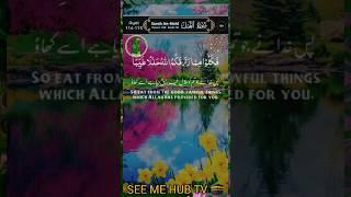 SEE ME HUB TV #surahannahl#qurantilawat#quranrecitationforsleep#quran#