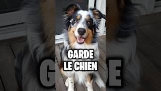 ARRIVERAS-TU À GARDER LE CHIEN ?