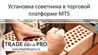 Как установить советник в Metatrader 5