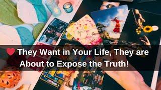 ️ They Want in Your Life, They Are About to Expose the Truth! Soulmate Tarot Reading Love All Signs