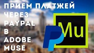 Прием платежей через PayPal в Adobe Muse