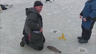 Работаем в полях. Клёвое место, Лосиный остров, нижний водоём.