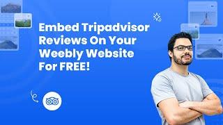 How to embed Tripadvisor reviews on Weebly? #embed #free #tripadvisor #reviews