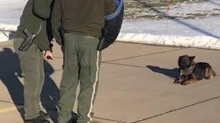 K9 demonstration to high school students