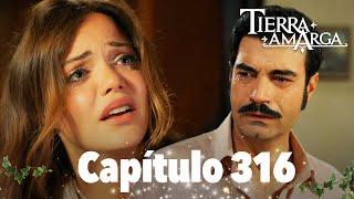 Tierra Amarga - Capítulo 316