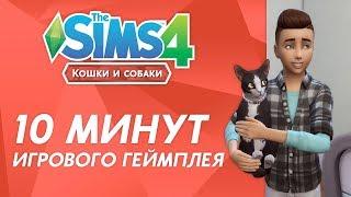 The Sims 4 Кошки и собаки | 10 минут игрового геймплея