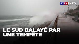 Toitures arrachées, rivières en crues : le Sud balayé par une tempête｜TF1 INFO