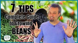 7 TIPS for Growing Beans // Complete Growing Guide