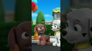 My name is Zuma after all - Paw patrol