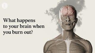 What happens to your brain when you burn out?