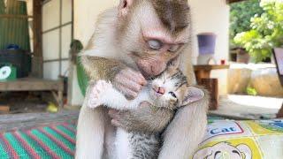 Sweet Baby Monkey Zueii Kissing Mally Full Of Love| Monkey Grooming