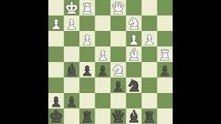 Sicilian Defense: Open, Pelikn and Sveshnikov, Chelyabinsk Variation, 9...Be7 10.Bxf6 Bxf6 11.c3 O