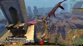 GW2 Open Skies Elon Riverlands Griffon Eggs Guide