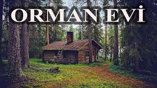 EVİ KİRALAYAN ADAM BUNU BİZDEN GİZLEMİŞ! | YAŞANMIŞ KORKU HİKAYELERİ | PARANORMAL HİKAYELER