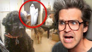 Are These Really Ghosts?