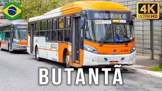 Sao Paulo, Brazil - Buses at Butantã Bus Station