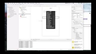 Custom Runtime Properties in IB – Edward Patel