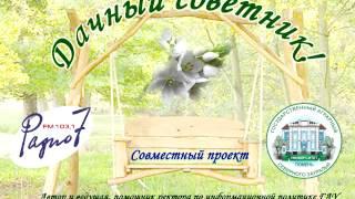 Дачный советник  3062014