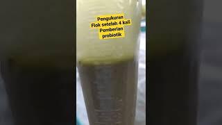 Pengukuran Flok Kolam Bioflok Ikan Nila