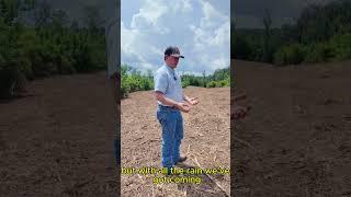 How To Increase Land Value With A Food Plot | United Country/Southern States Realty