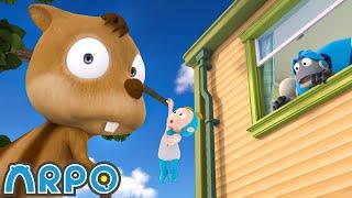 Baby Climbs The Squirrel's Tree | ARPO The Robot Classics