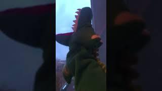 Крокодил улетел в космос 